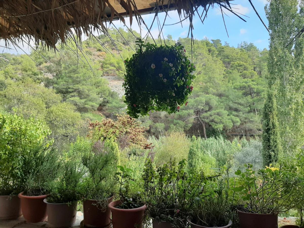 Blue Cottage Apsiou Ngoại thất bức ảnh